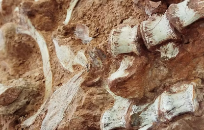 fossil 400x255 - Fóssil de dinossauro é encontrado parcialmente exposto após ação das chuvas em enchente no RS