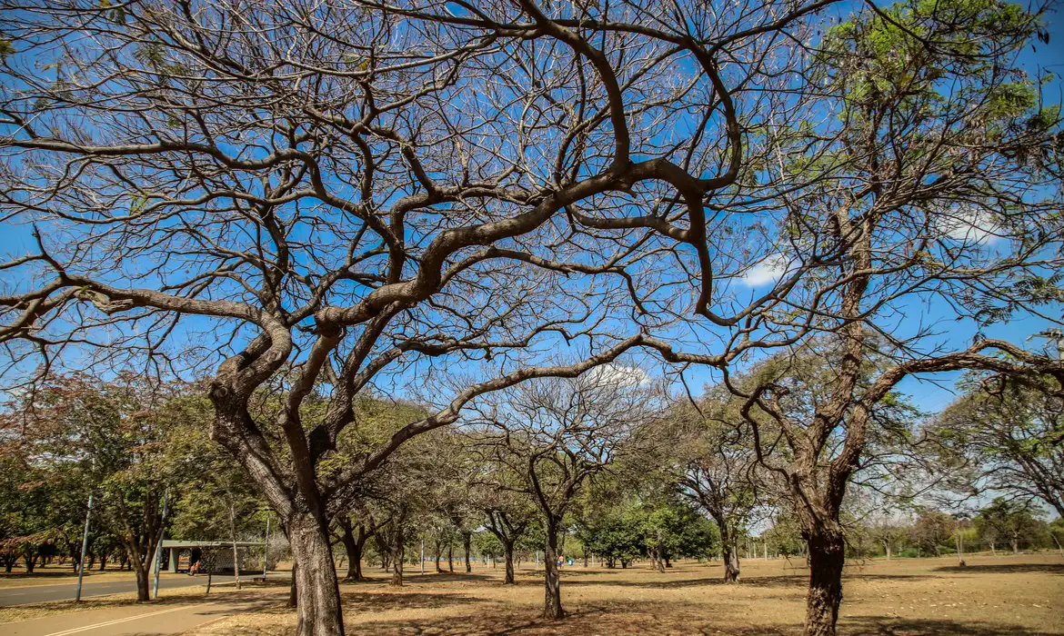 Inmet alerta sobre baixa umidade no Centro-Oeste e no Tocantins