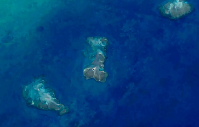 corais 400x255 - Pesquisa aponta 20,4 mil hectares de recifes de coral na costa do país