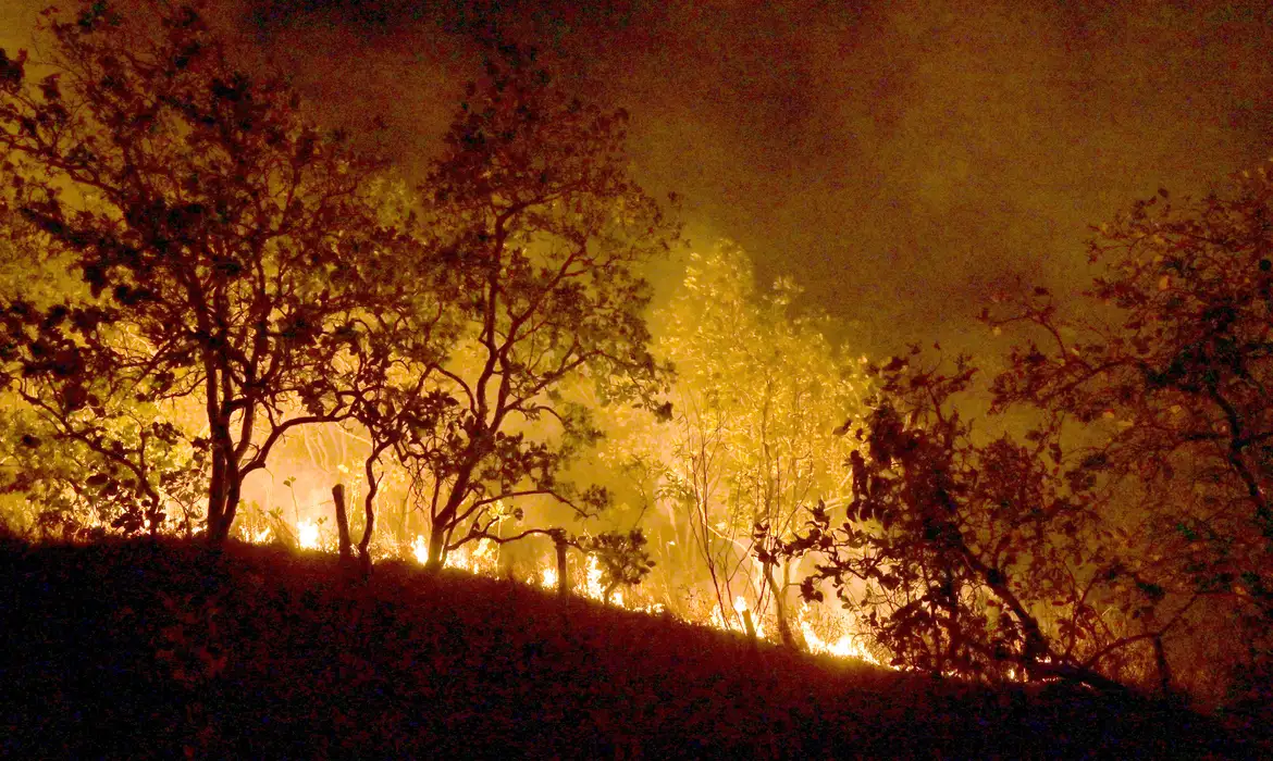 Incêndios atingem milhares de hectares em parques de Minas Gerais