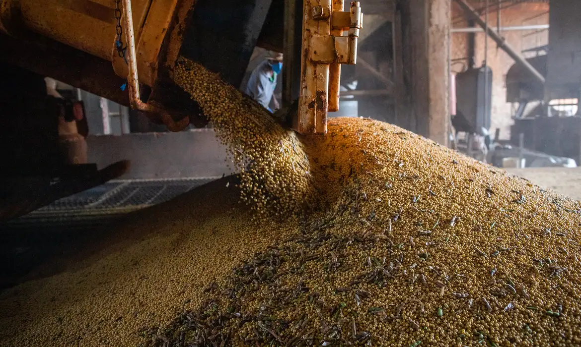 Após seis anos em alta, valor da produção agrícola cai 2,3% em 2023