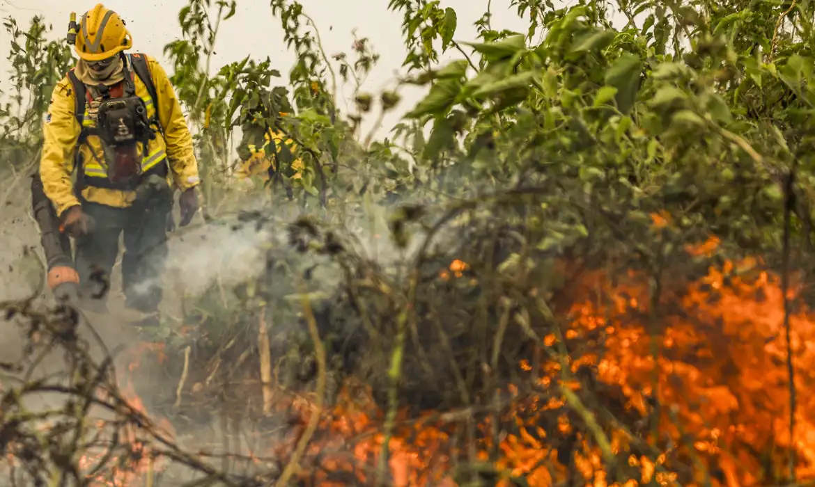 Brasil já registrou mais de 154 mil focos de calor este ano