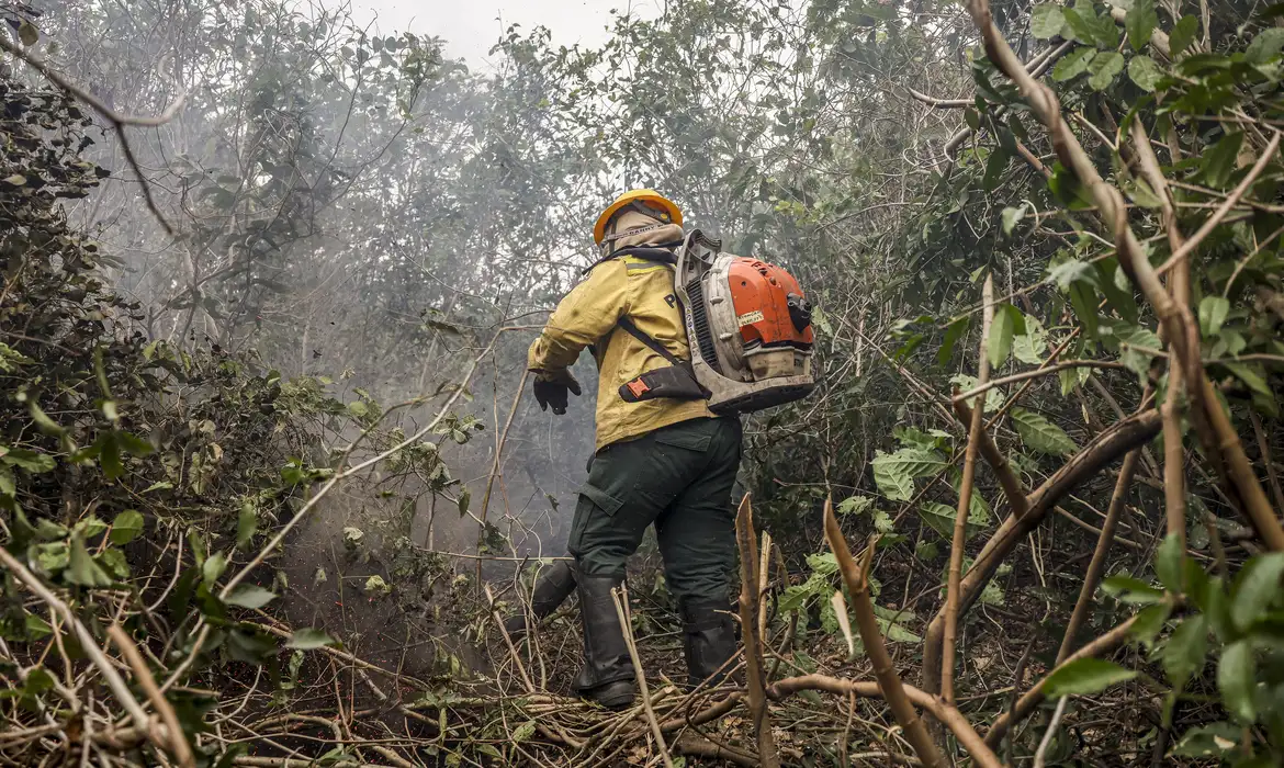 Ibama multa fazendeiros em R$ 100 milhões por incêndio no Pantanal