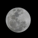 lua 75x75 - Folha Iconha