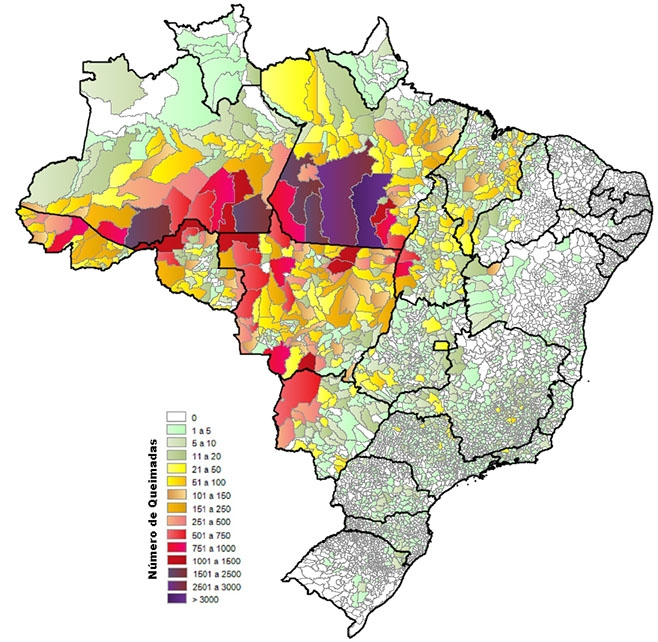 Focos de queimadas atingiram número recorde em áreas de matas em 2024