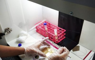 Laboratorio2 400x255 - Cooperativa disponibiliza ferramenta para detectar causa da mastite em até 24h