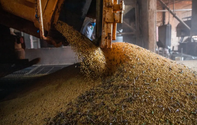 agricultura 400x255 - Após seis anos em alta, valor da produção agrícola cai 2,3% em 2023