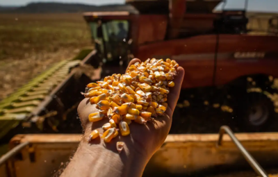 agro 1 400x255 - Produção da safra brasileira caiu 7,2% em 2024, estima IBGE